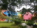Load image into Gallery viewer, Ecological History Tour: Museum of Biodiversity and Botanical Garden