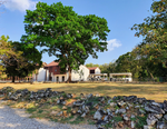 Load image into Gallery viewer, Panama Viejo Archeological Complex Excursion
