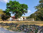 Load image into Gallery viewer, Panama Viejo Walking Tour: Archeological Complex and Museum
